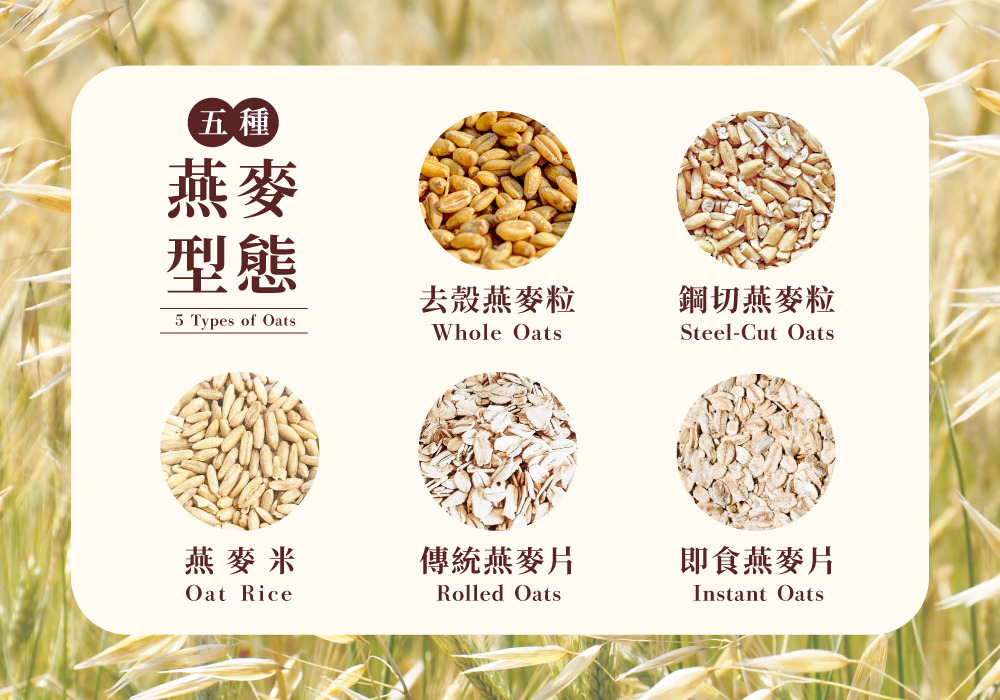大燕麦片和小燕麦片怎么选：片粒大小与口感的关系